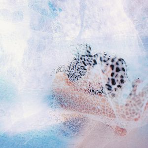 变性人性爱操逼视频
